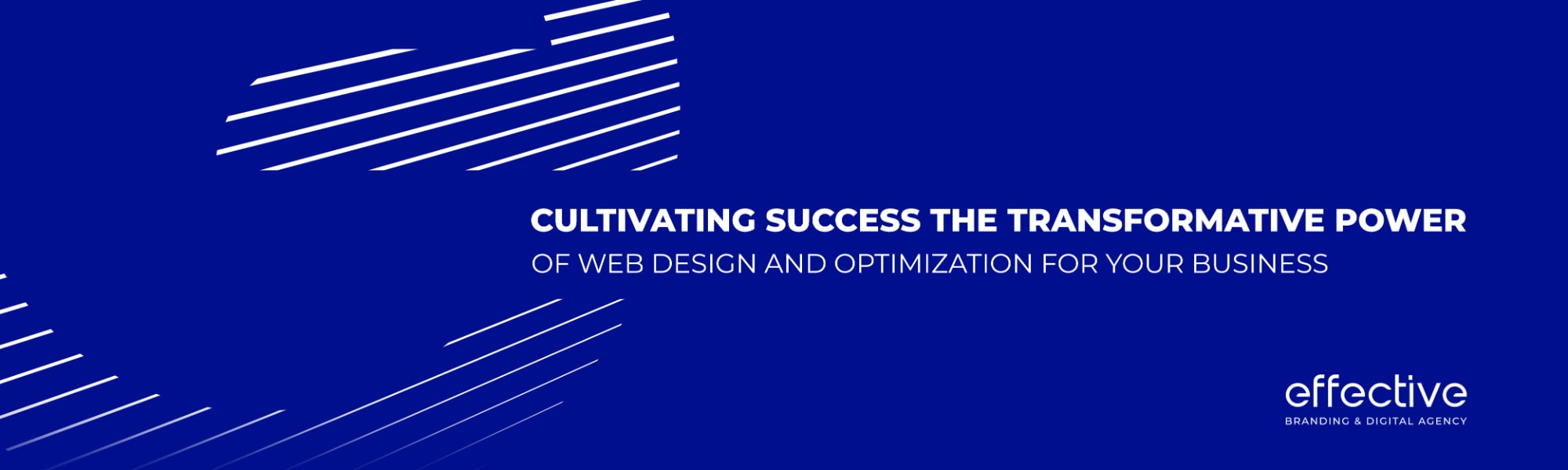 Cultivating Success: The Transformative Power of Web Design and Optimization for Your Business