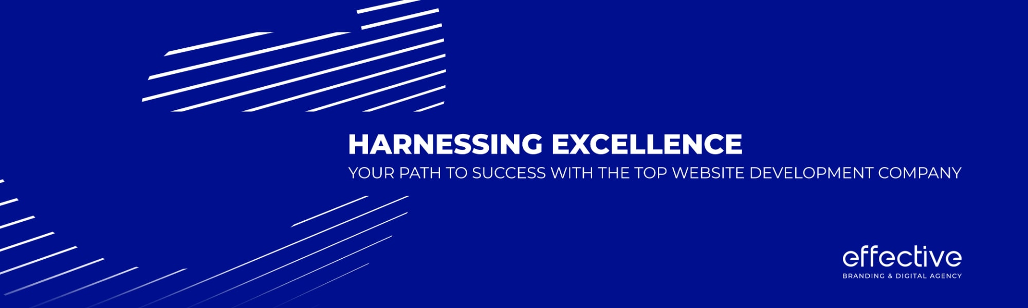 Harnessing Excellence Your Path to Success with the Top Website Development Company