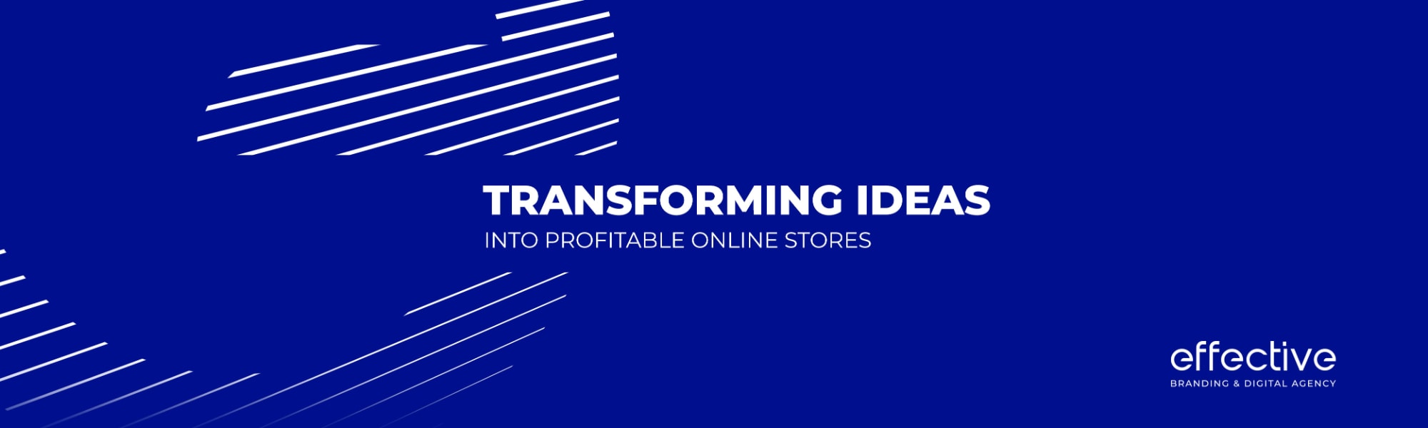 Transforming Ideas into Profitable Online Stores